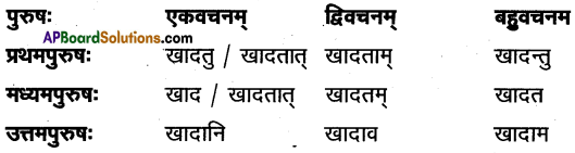 TS Inter 1st Year Sanskrit Model Paper Set 7 with Solutions 6