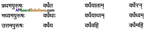 TS Inter 1st Year Sanskrit Model Paper Set 7 with Solutions 7