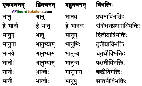 TS Inter 1st Year Sanskrit Model Paper Set 8 with Solutions 1