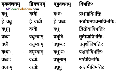 TS Inter 1st Year Sanskrit Model Paper Set 8 with Solutions 2
