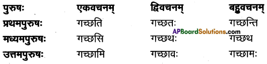 TS Inter 1st Year Sanskrit Model Paper Set 8 with Solutions 4