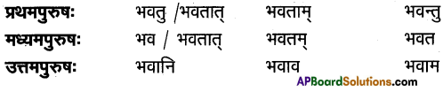 TS Inter 1st Year Sanskrit Model Paper Set 8 with Solutions 5
