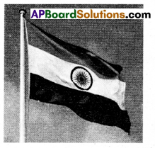 TS Inter 2nd Year Hindi Question Paper March 2023 1