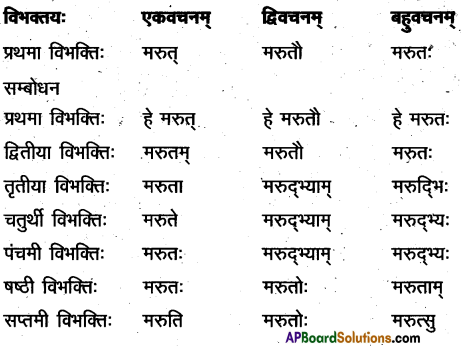 TS Inter 2nd Year Sanskrit Model Paper Set 10 with Solutions 1