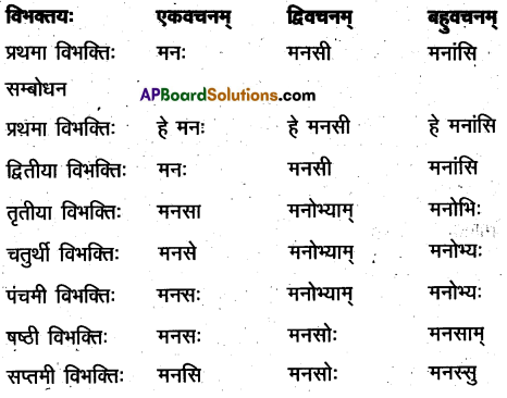 TS Inter 2nd Year Sanskrit Model Paper Set 10 with Solutions 3