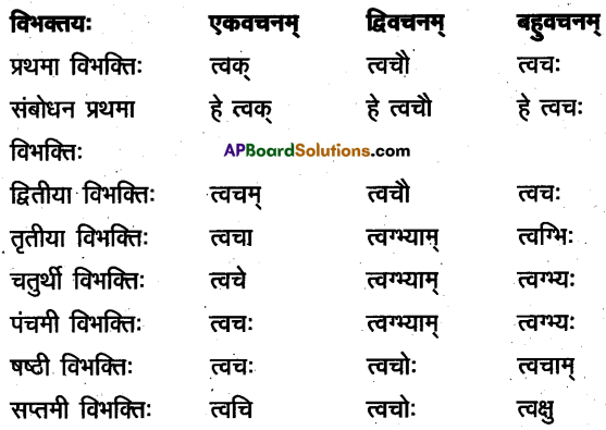 TS Inter 2nd Year Sanskrit Model Paper Set 4 with Solutions 2