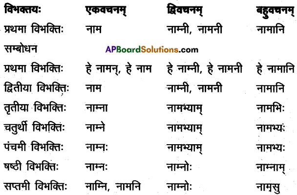 TS Inter 2nd Year Sanskrit Model Paper Set 6 with Solutions 3