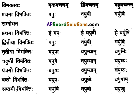 TS Inter 2nd Year Sanskrit Model Paper Set 9 with Solutions 3